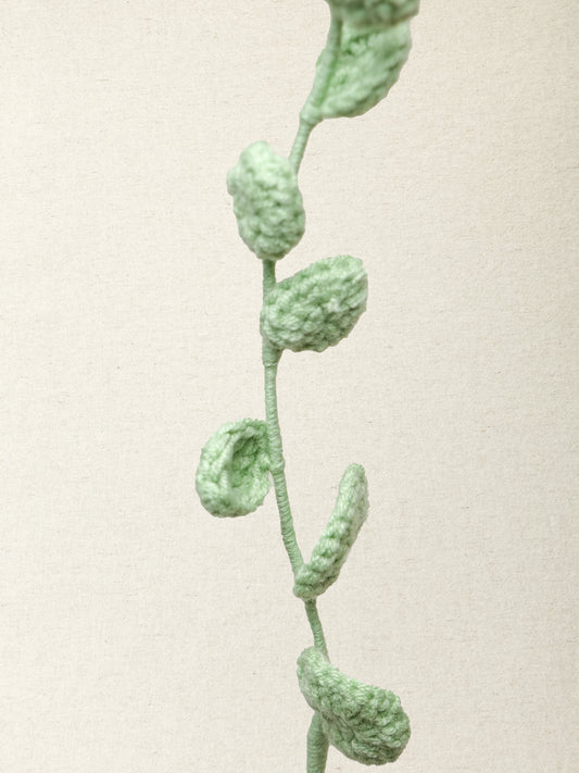 Eucalyptus