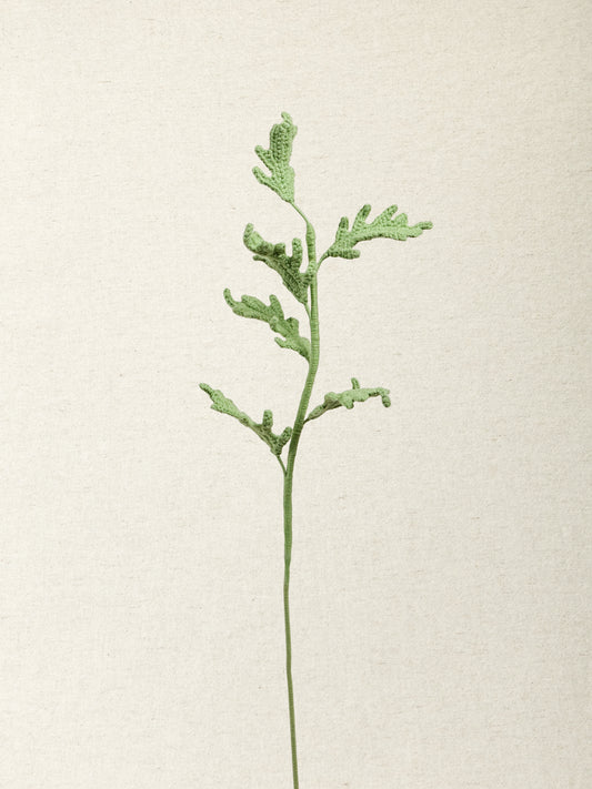 Dusty Miller · 2 colours