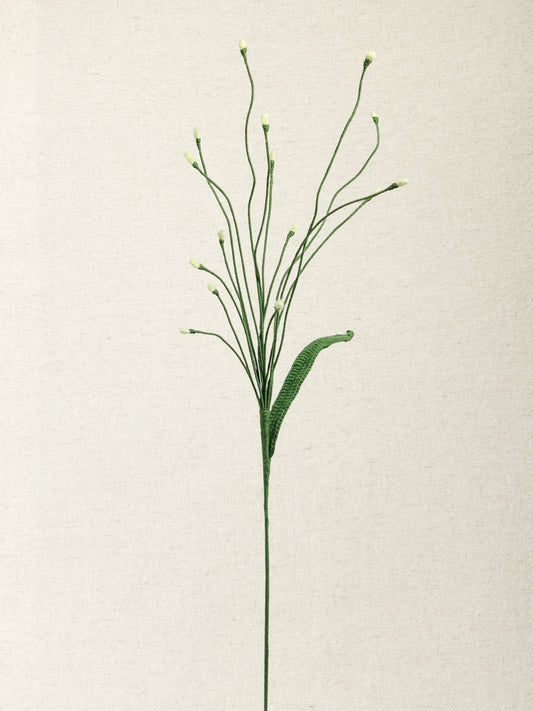 Fountain Grass · 2 colours