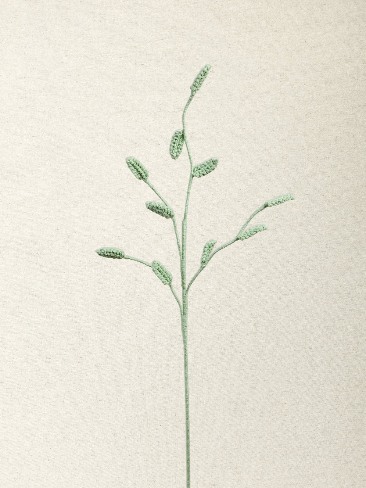 Wild Oat