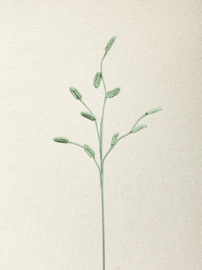 Wild Oat