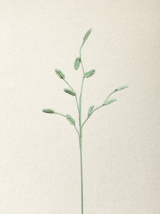 Wild Oat