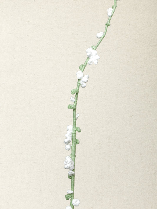 Snow Willow