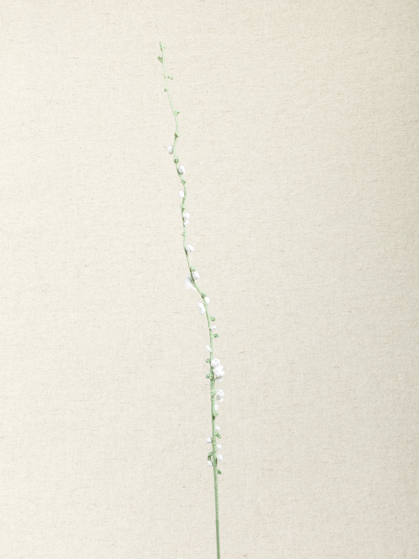 Snow Willow