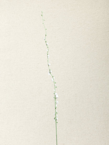 Snow Willow
