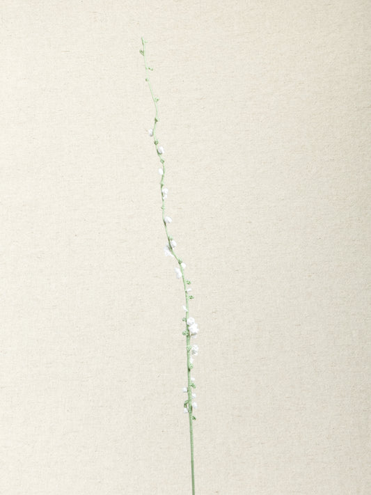 Snow Willow