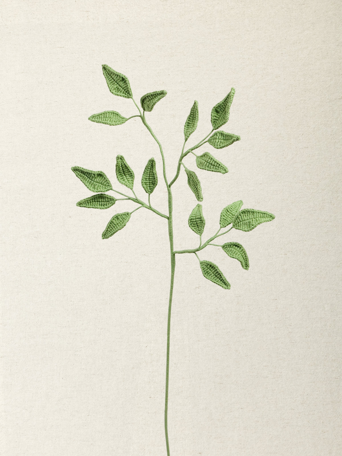 Nine Star Leaf