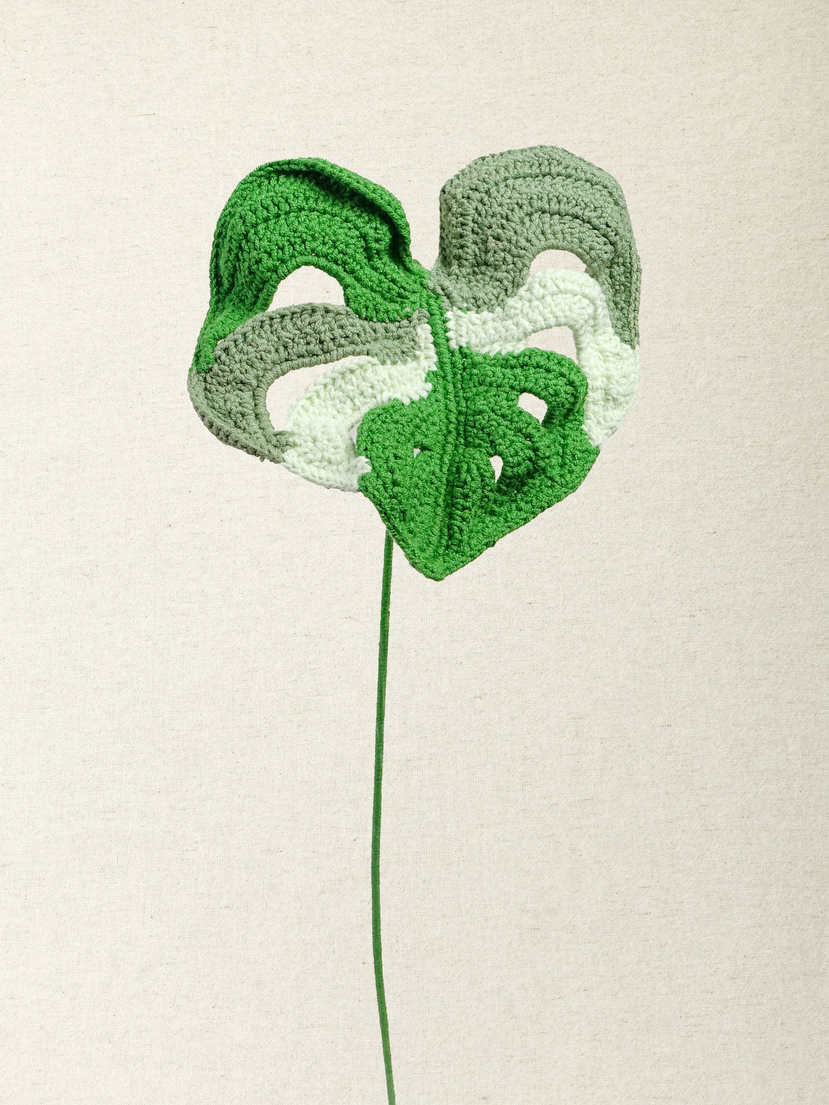 Monstera Leaf