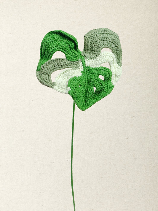 Monstera Leaf