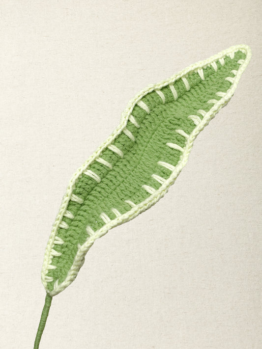 Cordyline Leaf