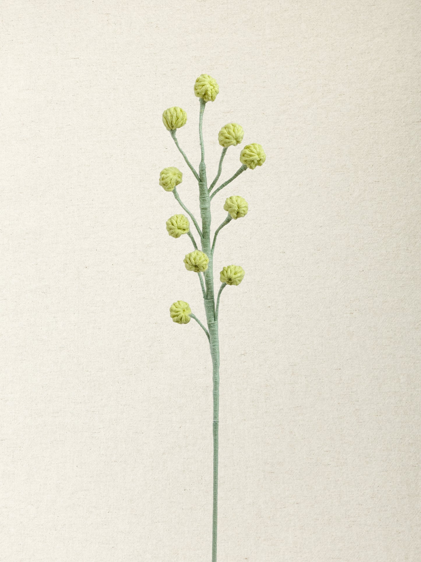 Snowberry Branch