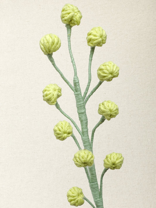 Snowberry Branch
