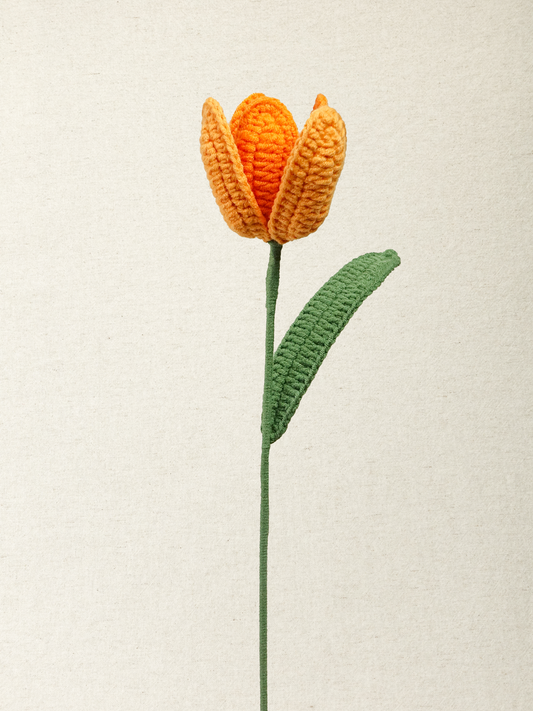 Signature Tulip · 8 colours