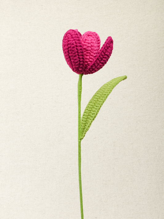 Signature Tulip · 8 colours