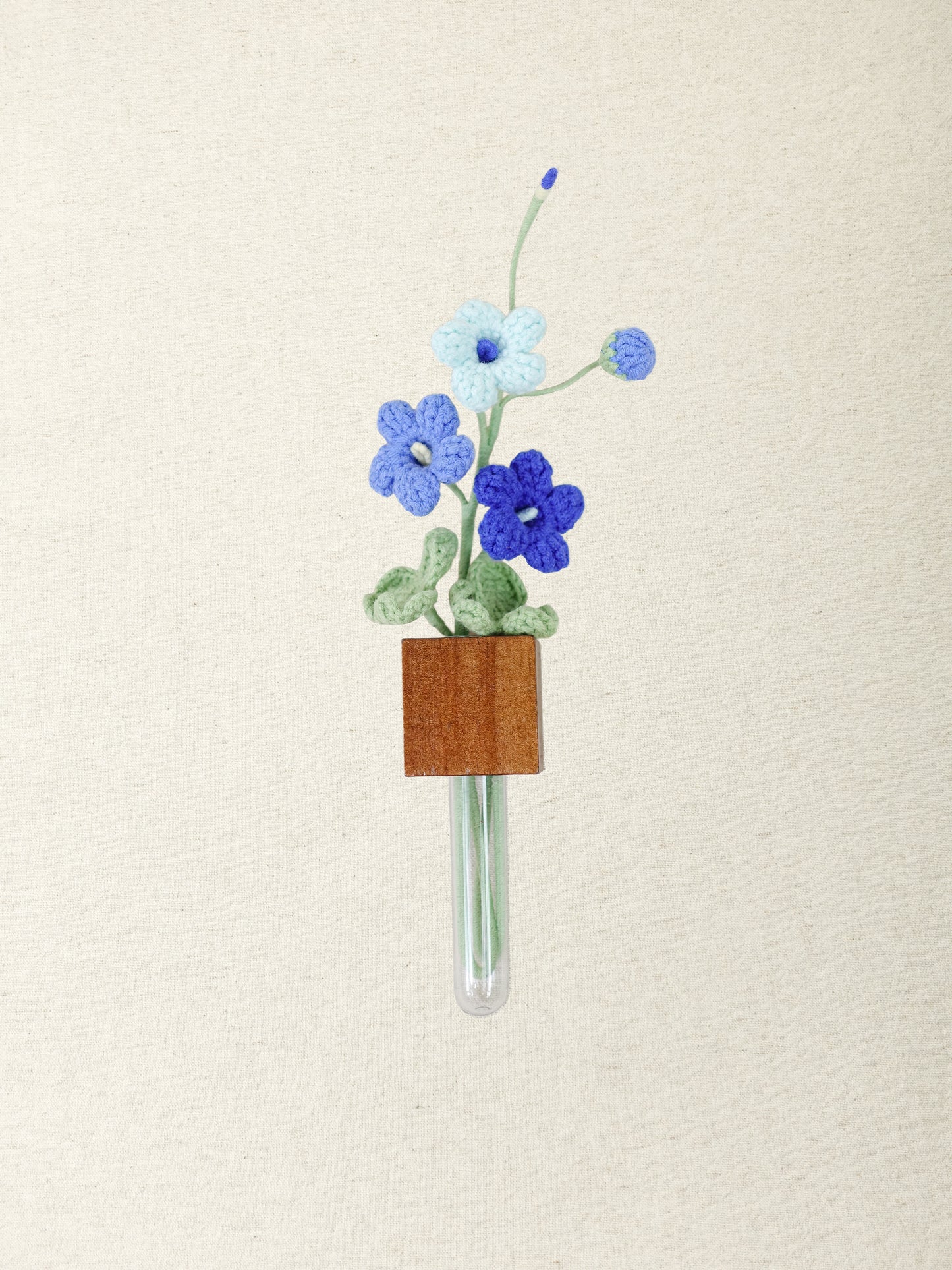 Oxalis Magnet