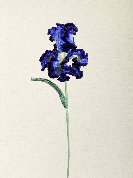 Painterly Iris