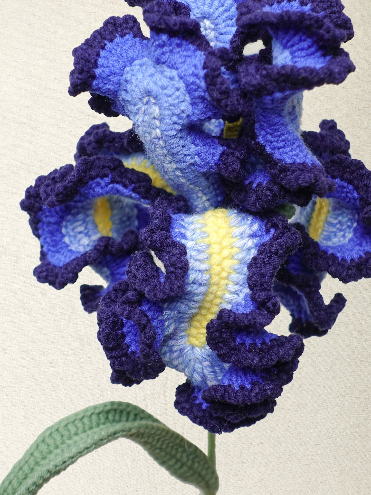 Painterly Iris