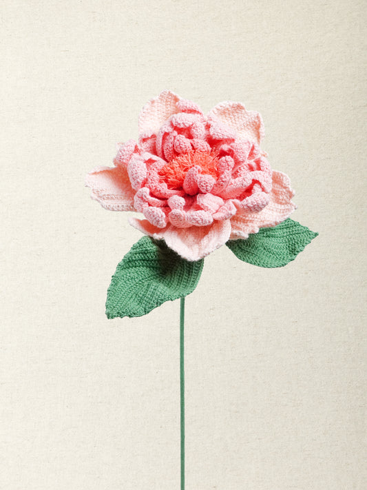 Painterly Rose