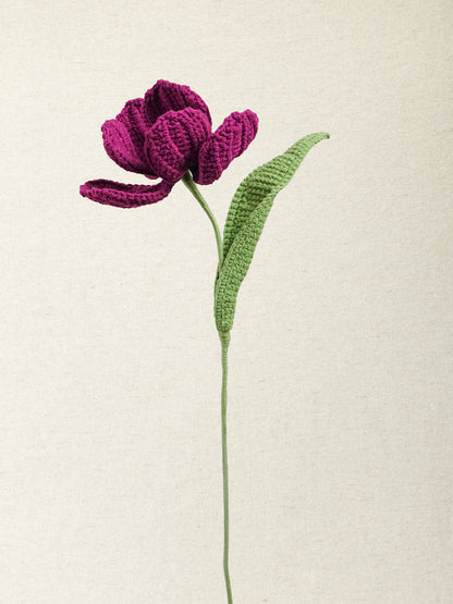 Premium Tulip · 2 colours