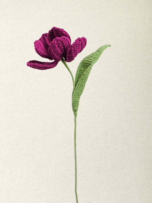 Premium Tulip · 2 colours
