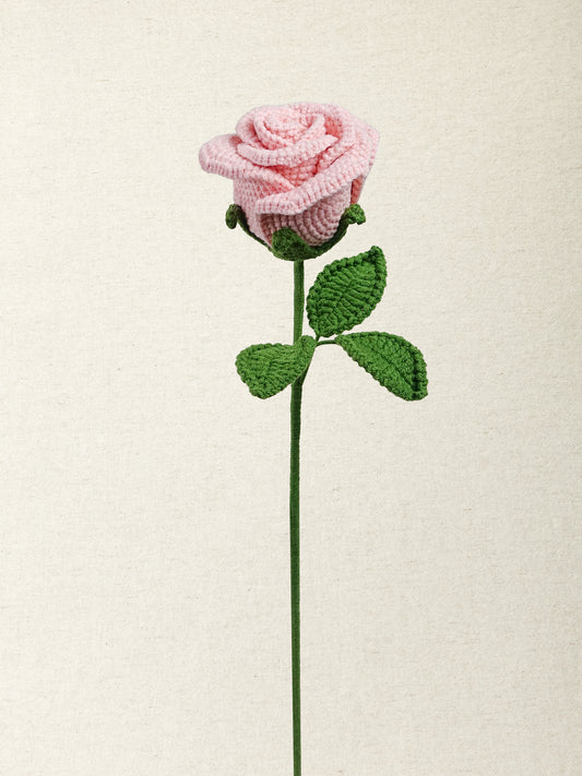 Rose · 3 colours