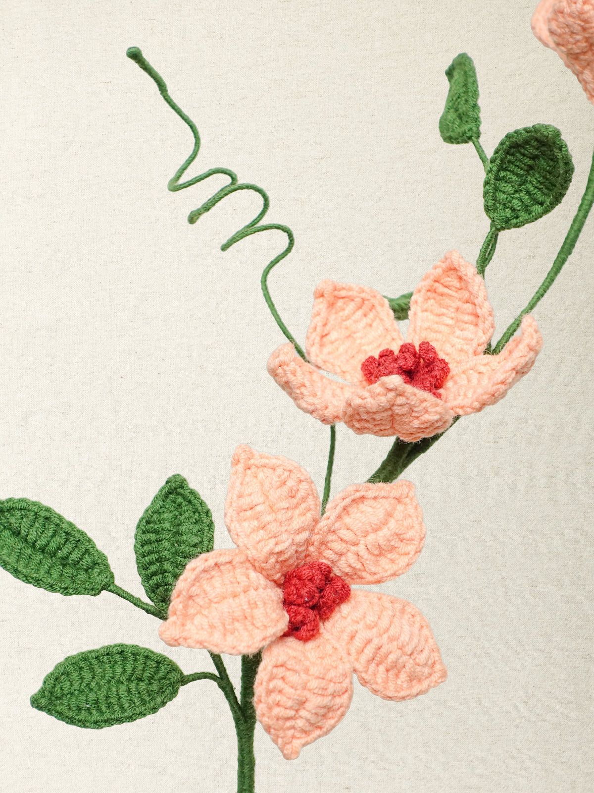 Clematis · 2 colours