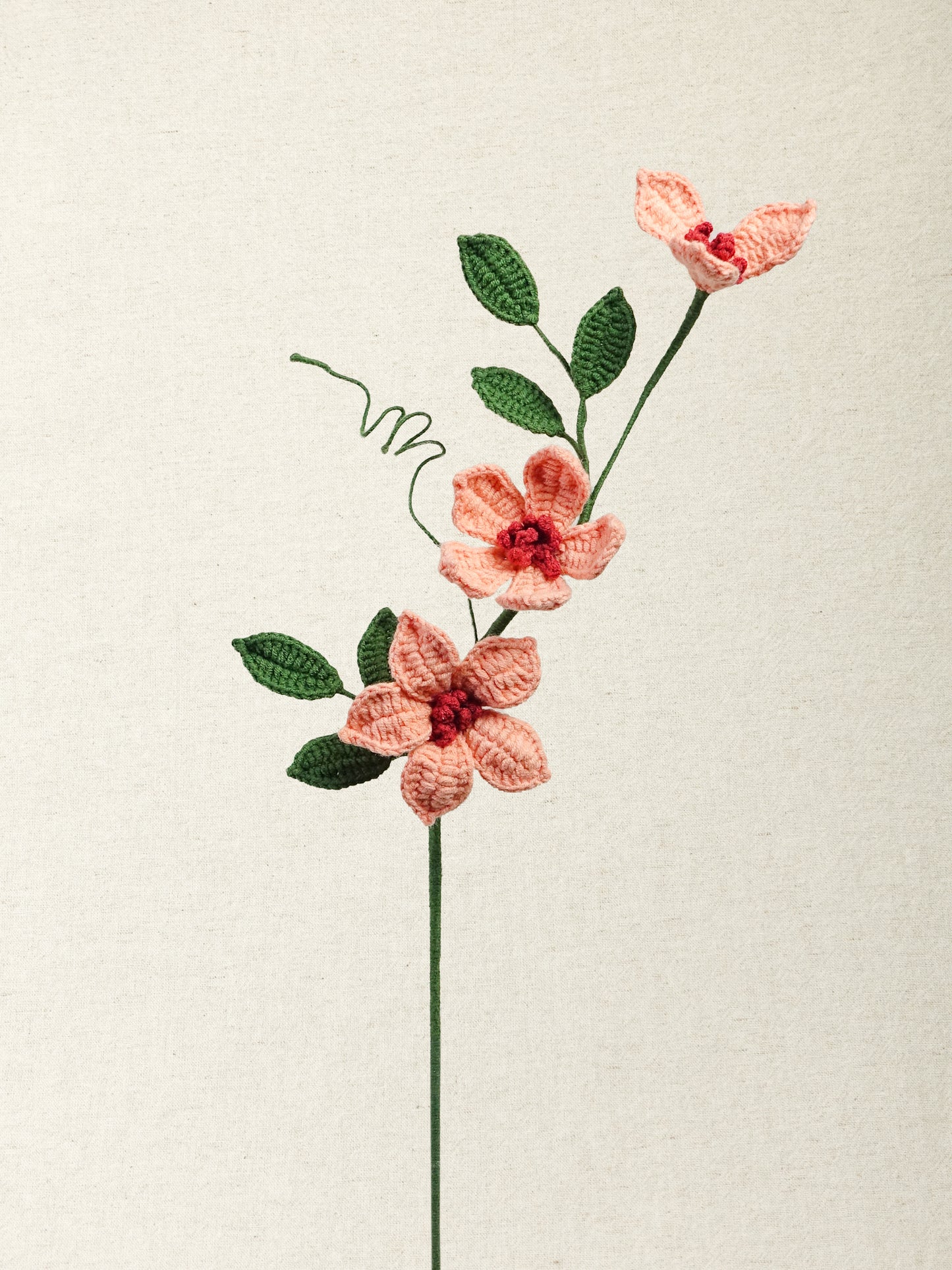Clematis · 2 colours