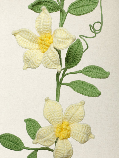 Clematis · 2 colours