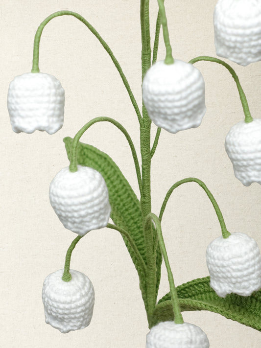 Lily of the Valley