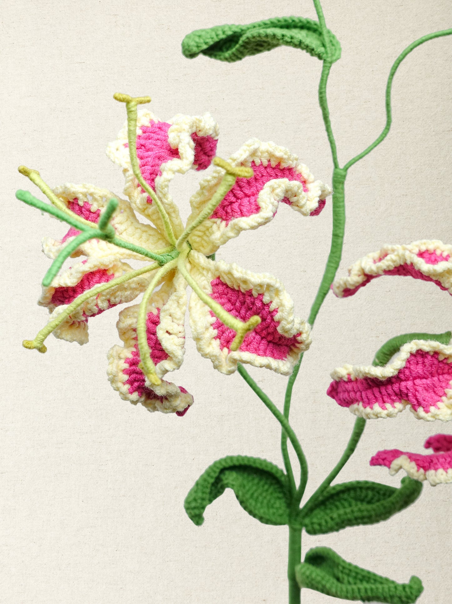 Gloriosa · 2 colours