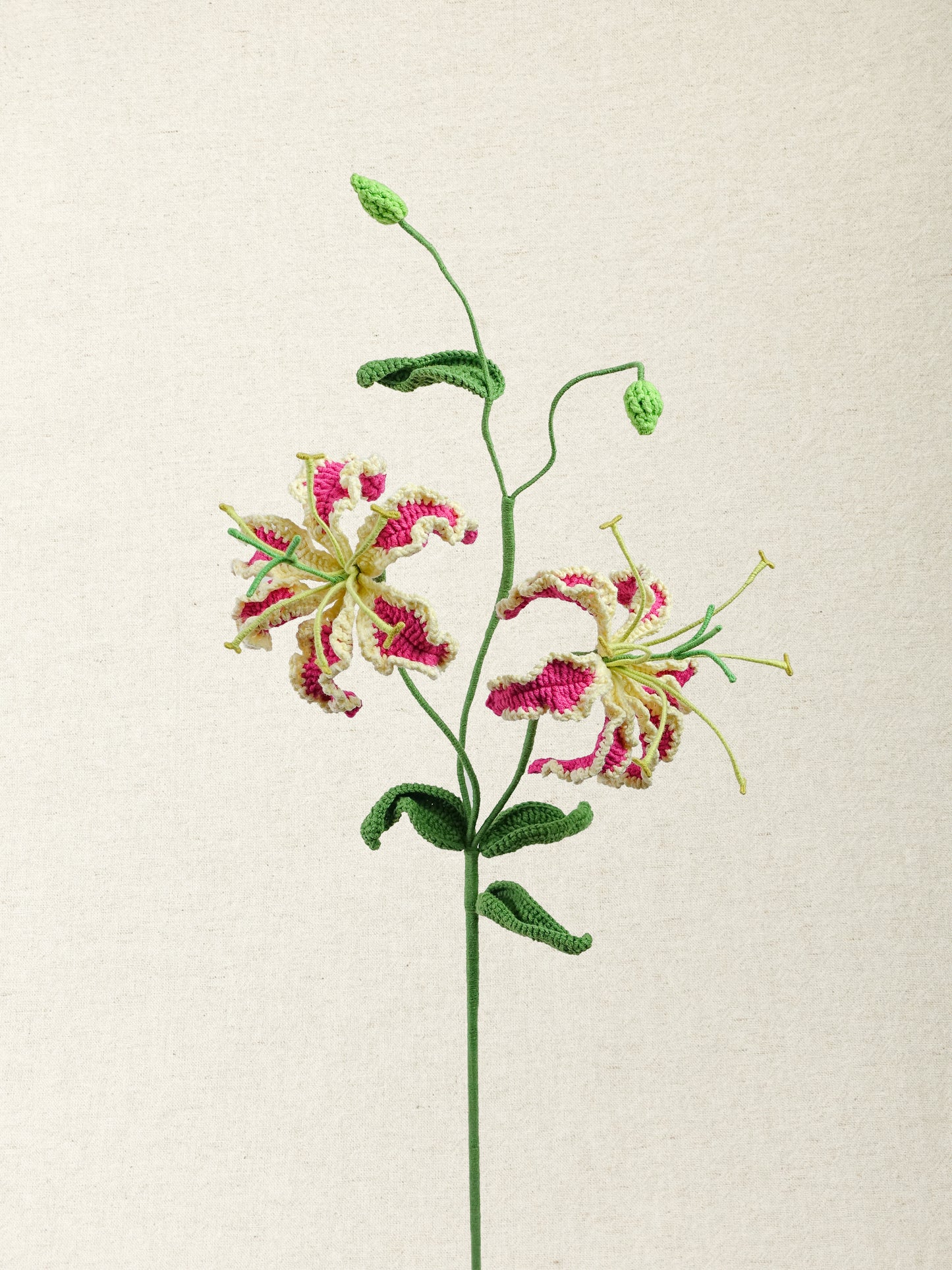 Gloriosa · 2 colours