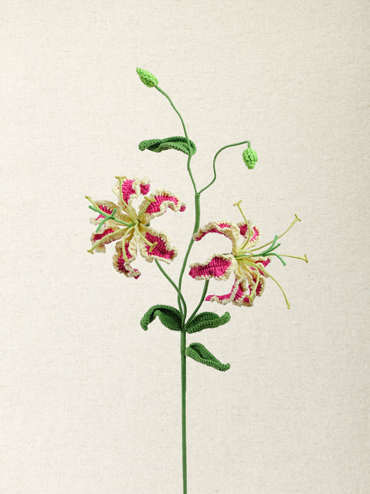 Gloriosa · 2 colours