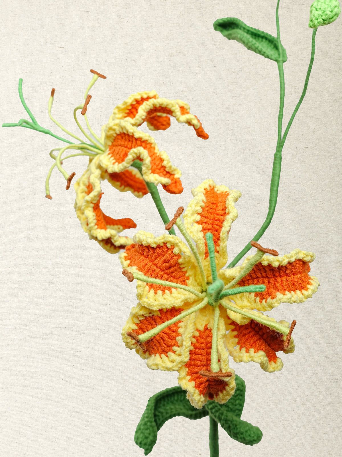 Gloriosa · 2 colours