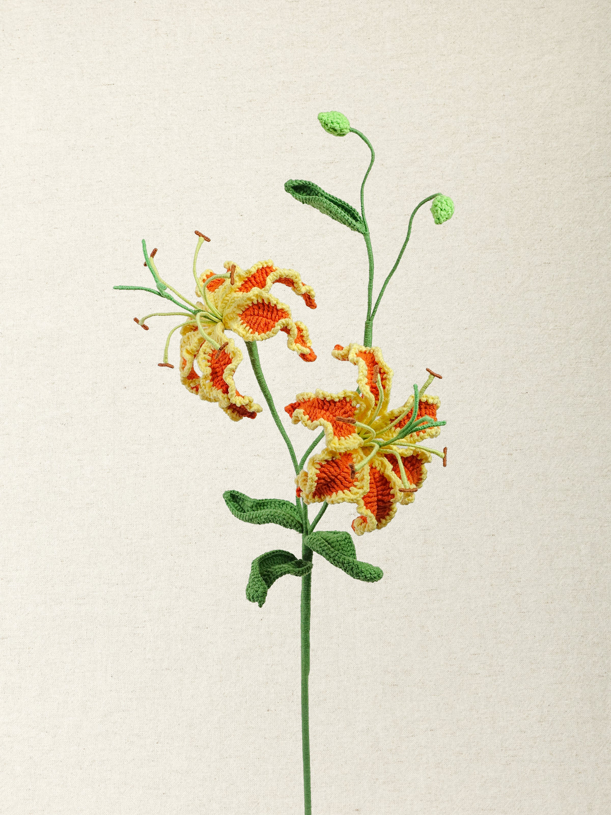 Gloriosa · 2 colours