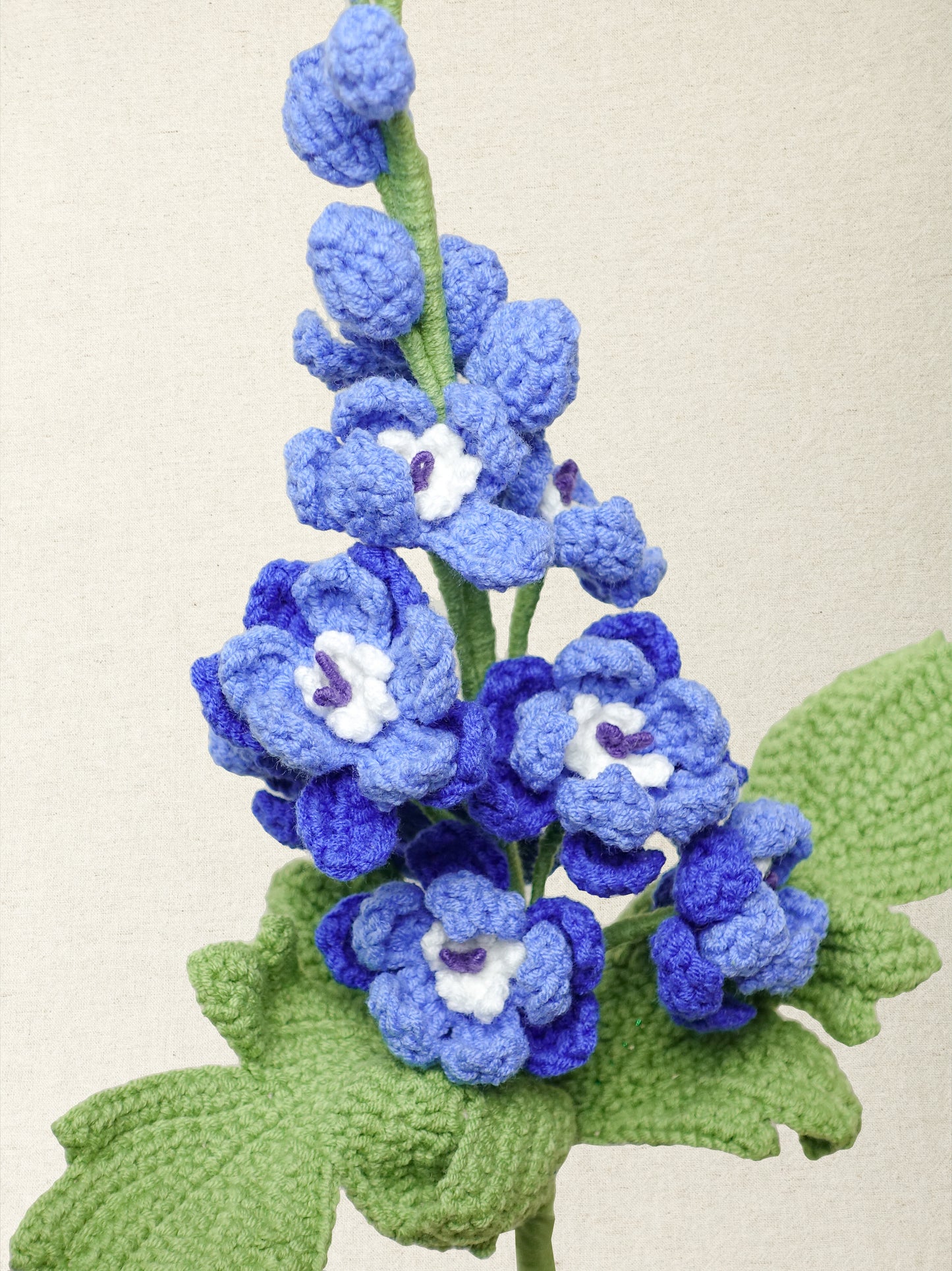 Delphinium · 3 colours
