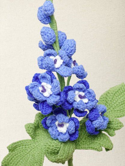 Delphinium · 3 colours