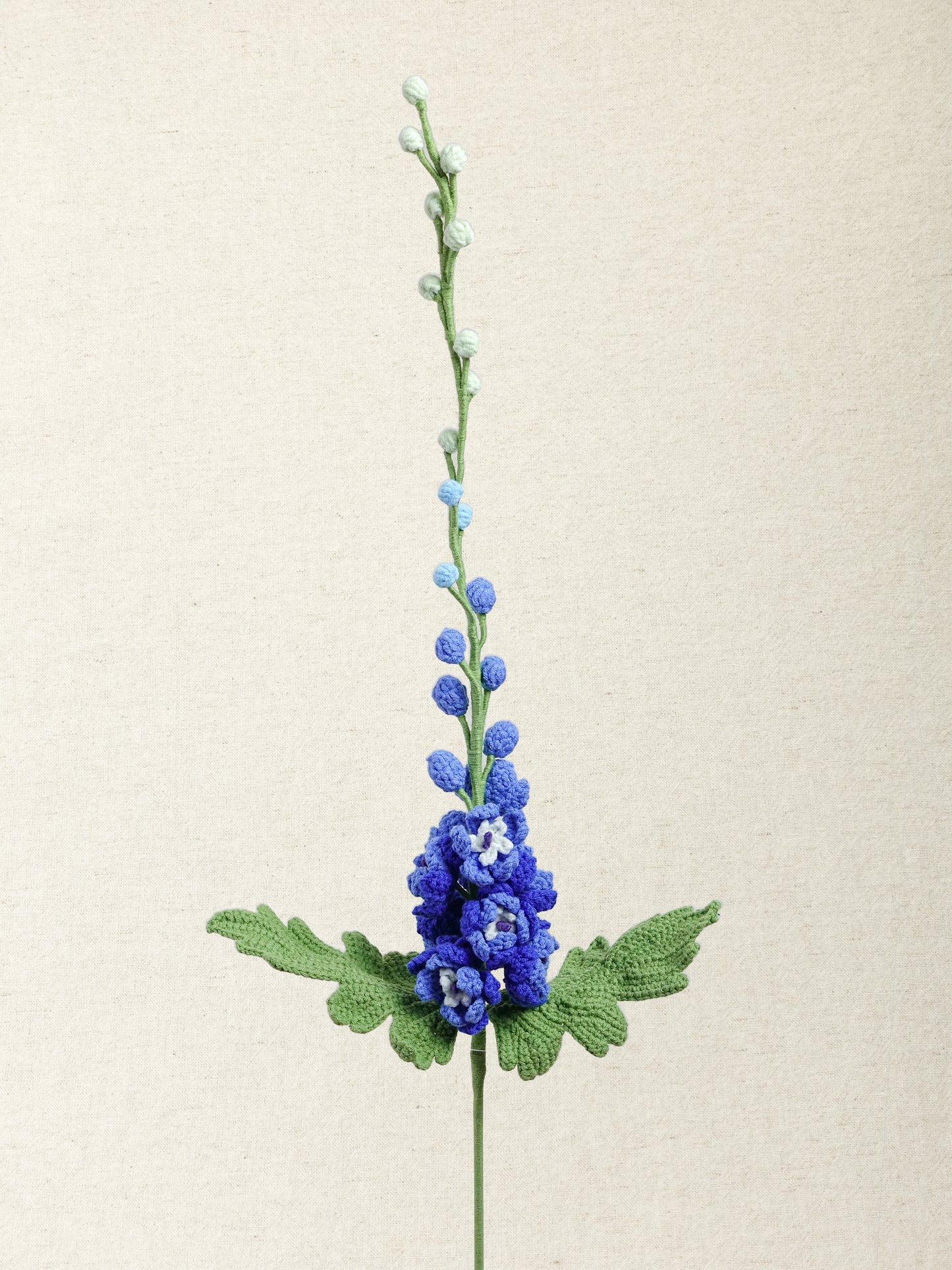Delphinium · 3 colours