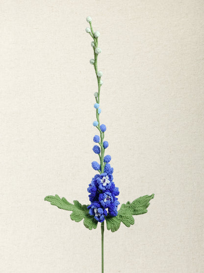 Delphinium · 3 colours