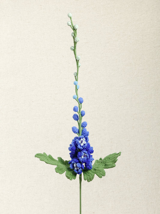Delphinium · 3 colours