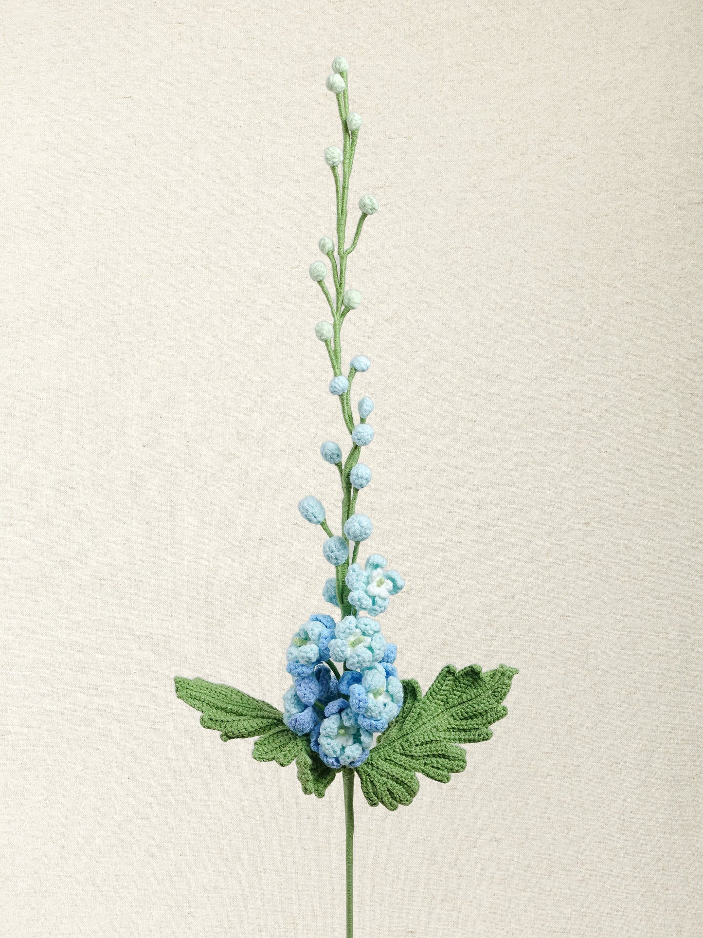 Delphinium · 3 colours