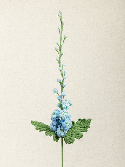 Delphinium · 3 colours
