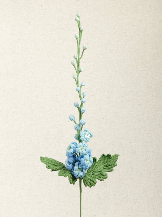 Delphinium · 3 colours