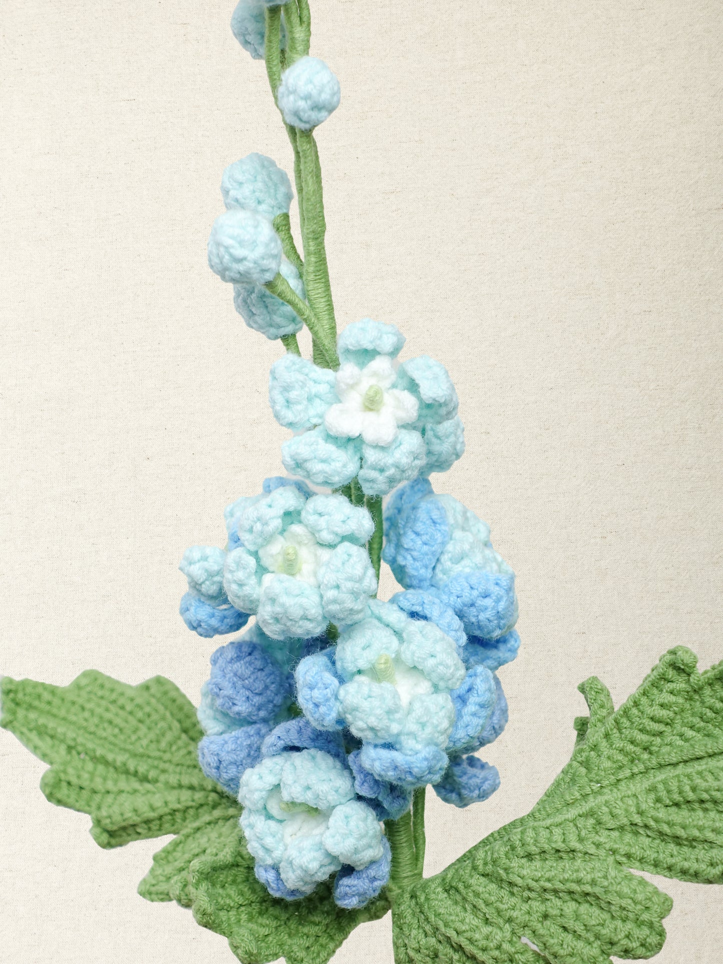 Delphinium · 3 colours