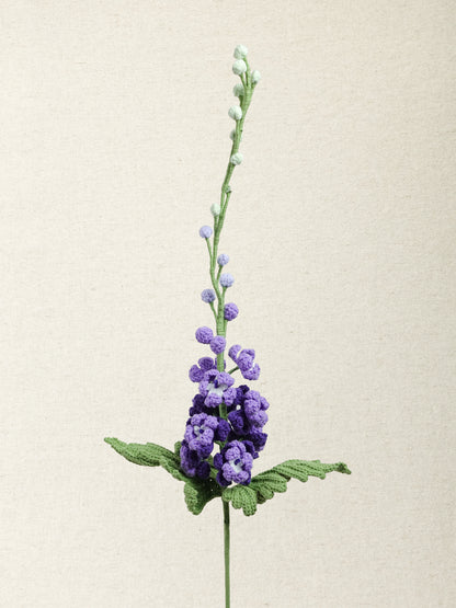 Delphinium · 3 colours