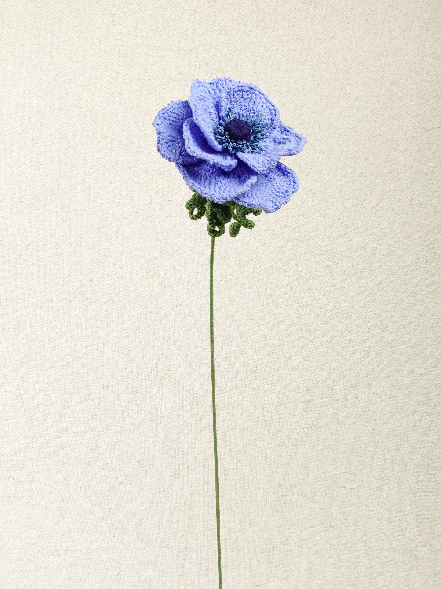 Anemone · 3 colours