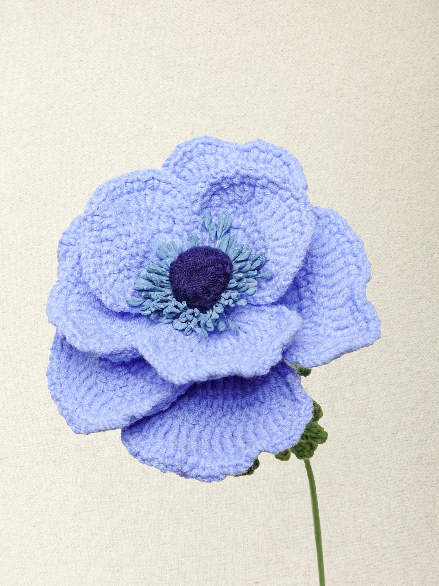 Anemone · 3 colours