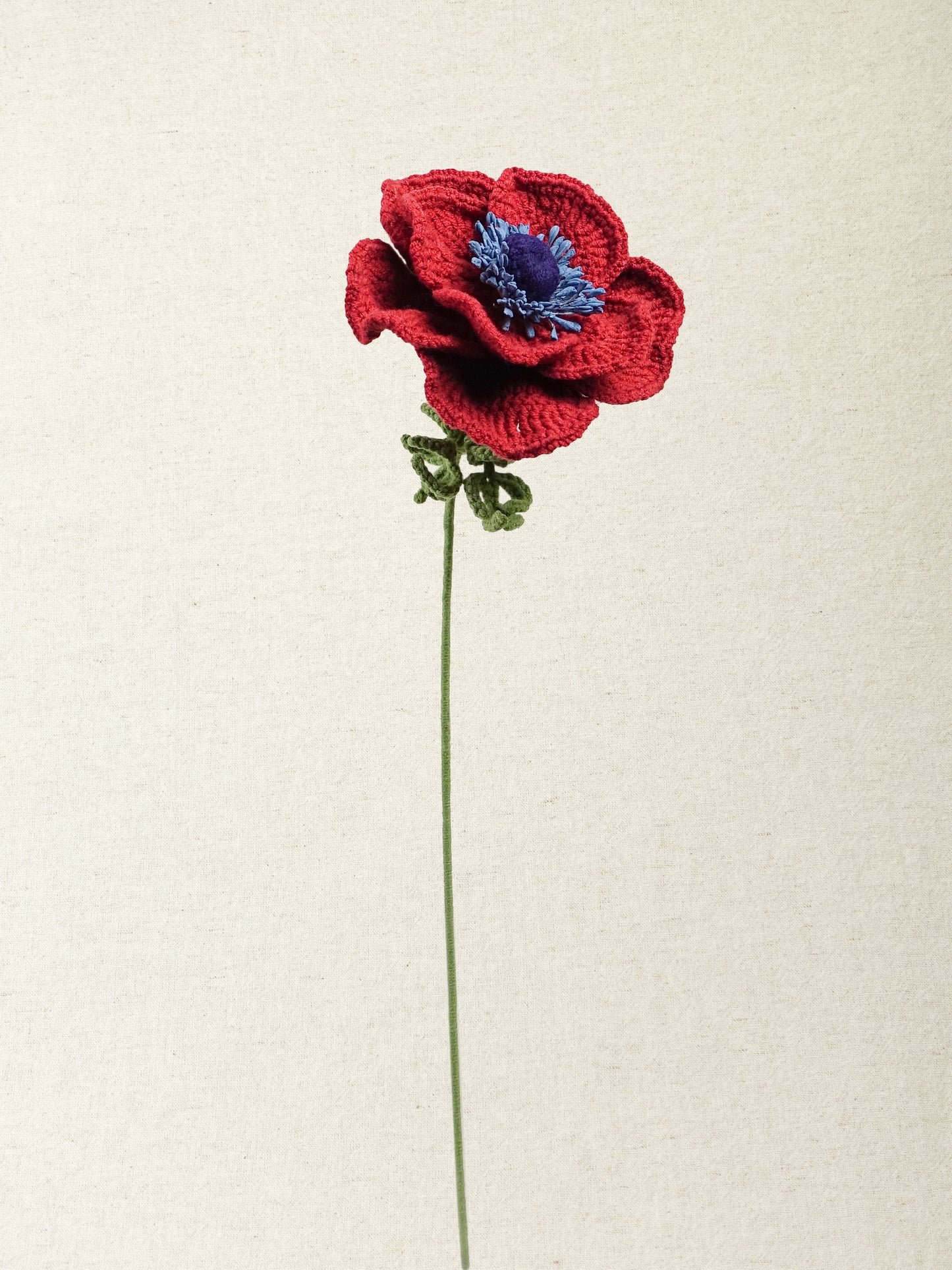 Anemone · 3 colours