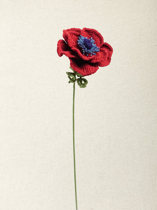 Anemone · 3 colours