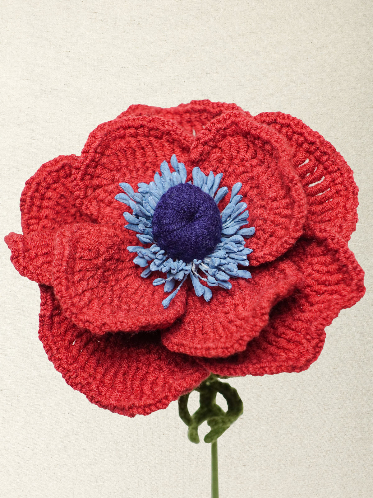 Anemone · 3 colours