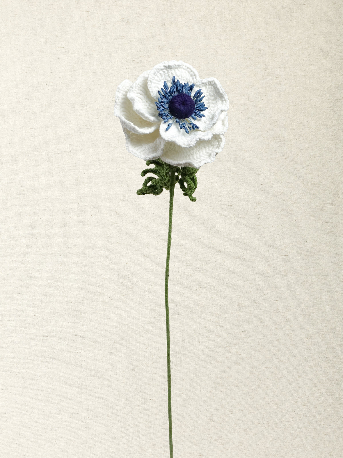Anemone · 3 colours